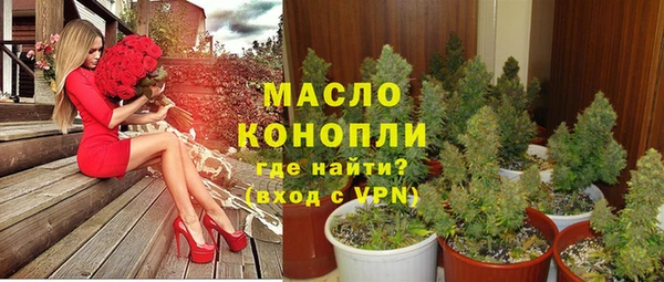 гашиш Богданович